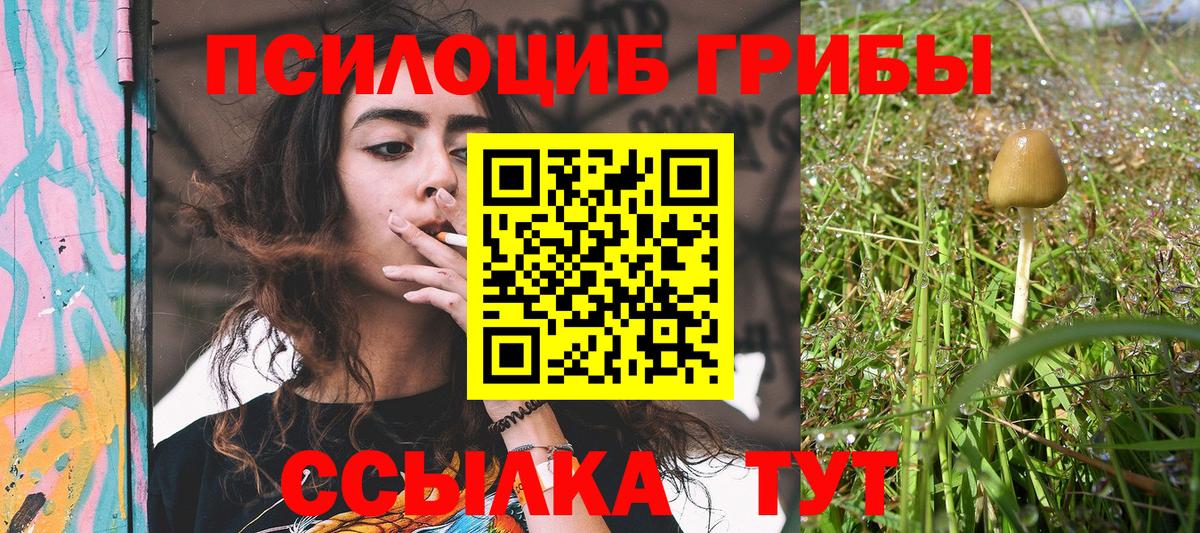 Галлюциногенные грибы мухоморы Сунжа