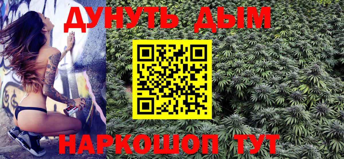 Бошки Шишки Bruce Banner  Бошки марихуана VHQ  Бошки Шишки планчик  Вход с VPN  Сунжа 